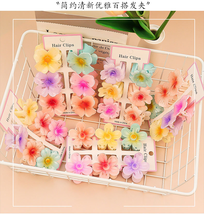 6Pcs Mode Bunte Transparente B – Hair Clip Claw Large Bewertung und Preis