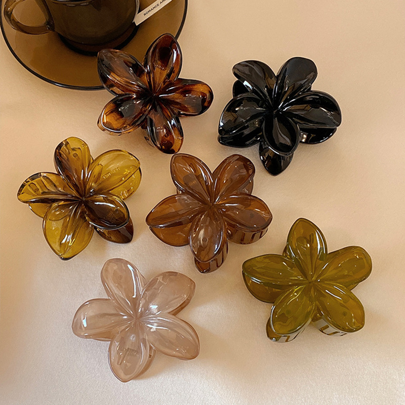 Damen-Haarspangen in Übergröße – Hair Clip Claw Large Bewertung und Preis