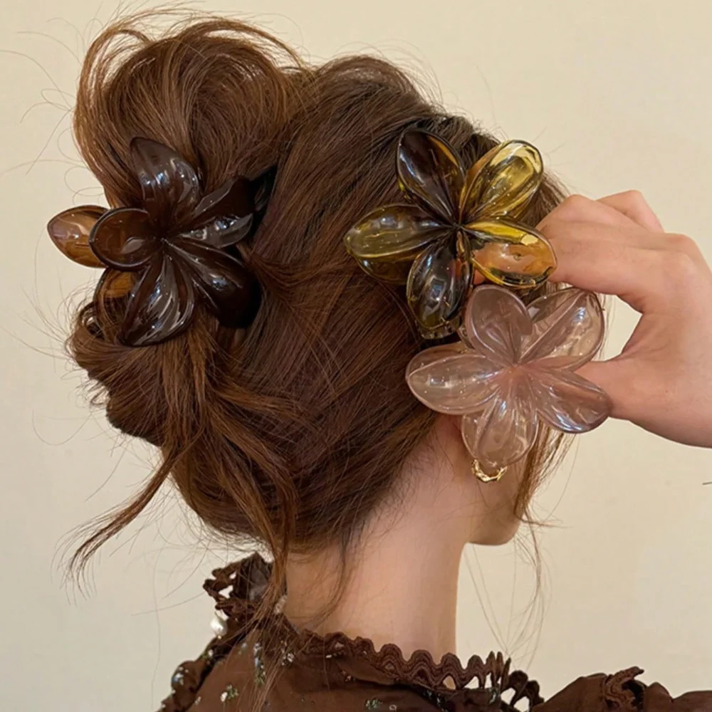 Damen-Haarspangen in Übergröße – Hair Clip Claw Large Bewertung und Preis
